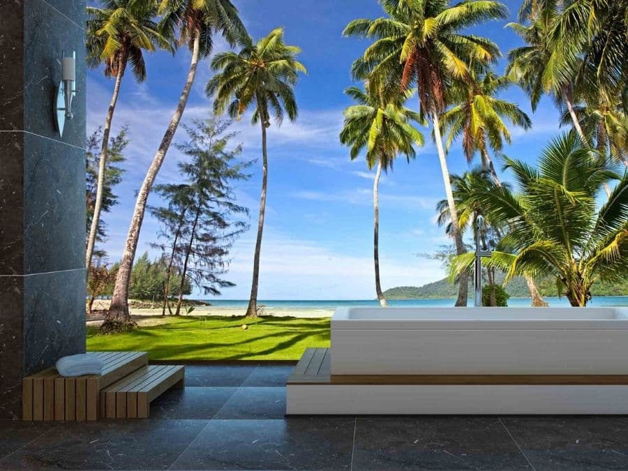 Andrew Huberman - Some Title